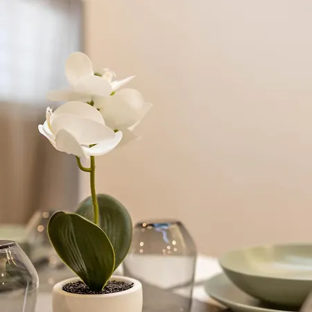Wanderlust289 In Centro A Apartman