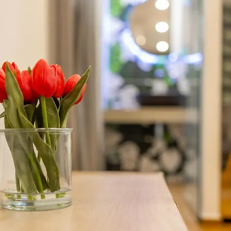 Wanderlust289 In Centro A